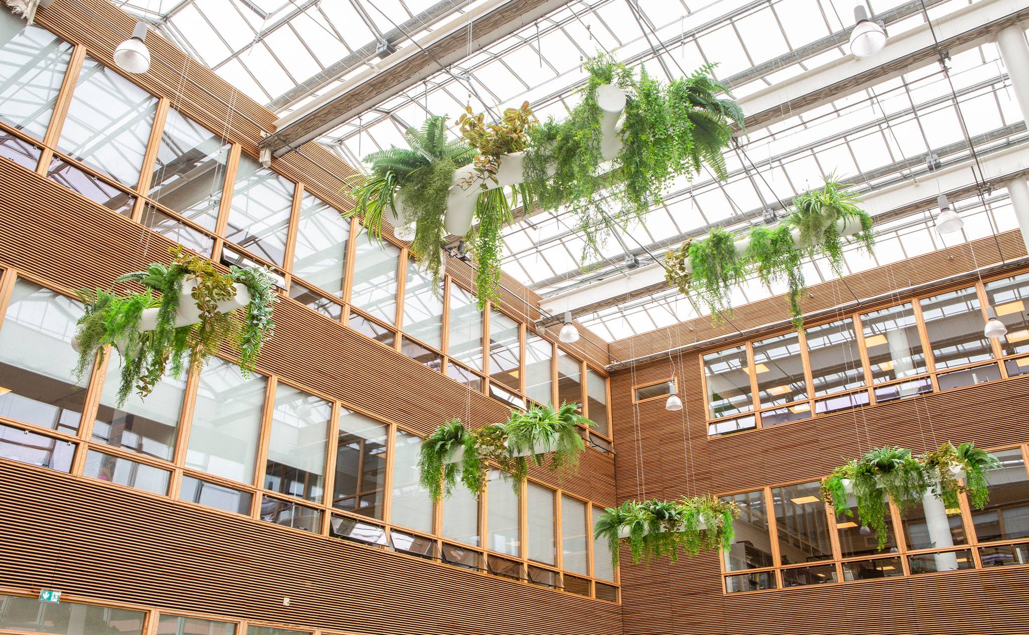 Hogeschool van Amsterdam, Fraijlemaborg - De verticale beplanting in deze school zorgt ervoor dat er vloeroppervlakte bespaart wordt. 