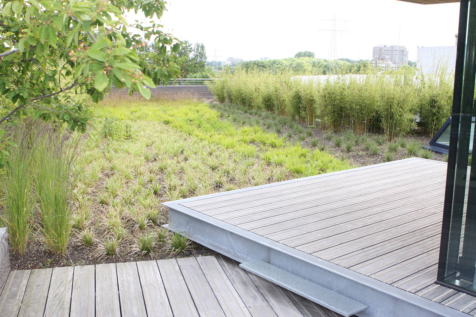 Aegon, Den Haag - Inspirerende en rustgevende daktuin waar medewerkers tot rust kunnen komen