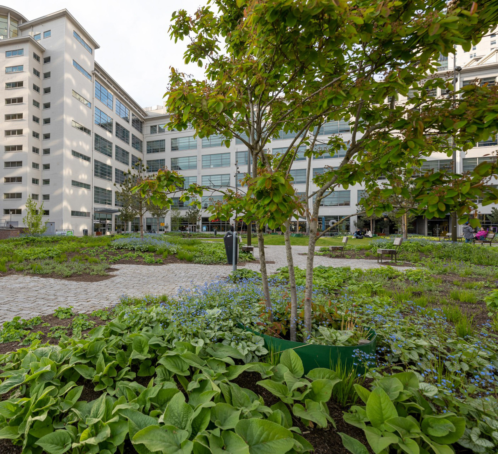 Clausplein Eindhoven (2)