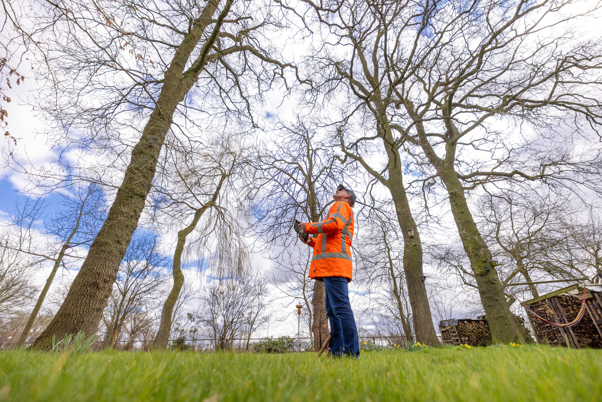 Visual Tree Assesment (3)