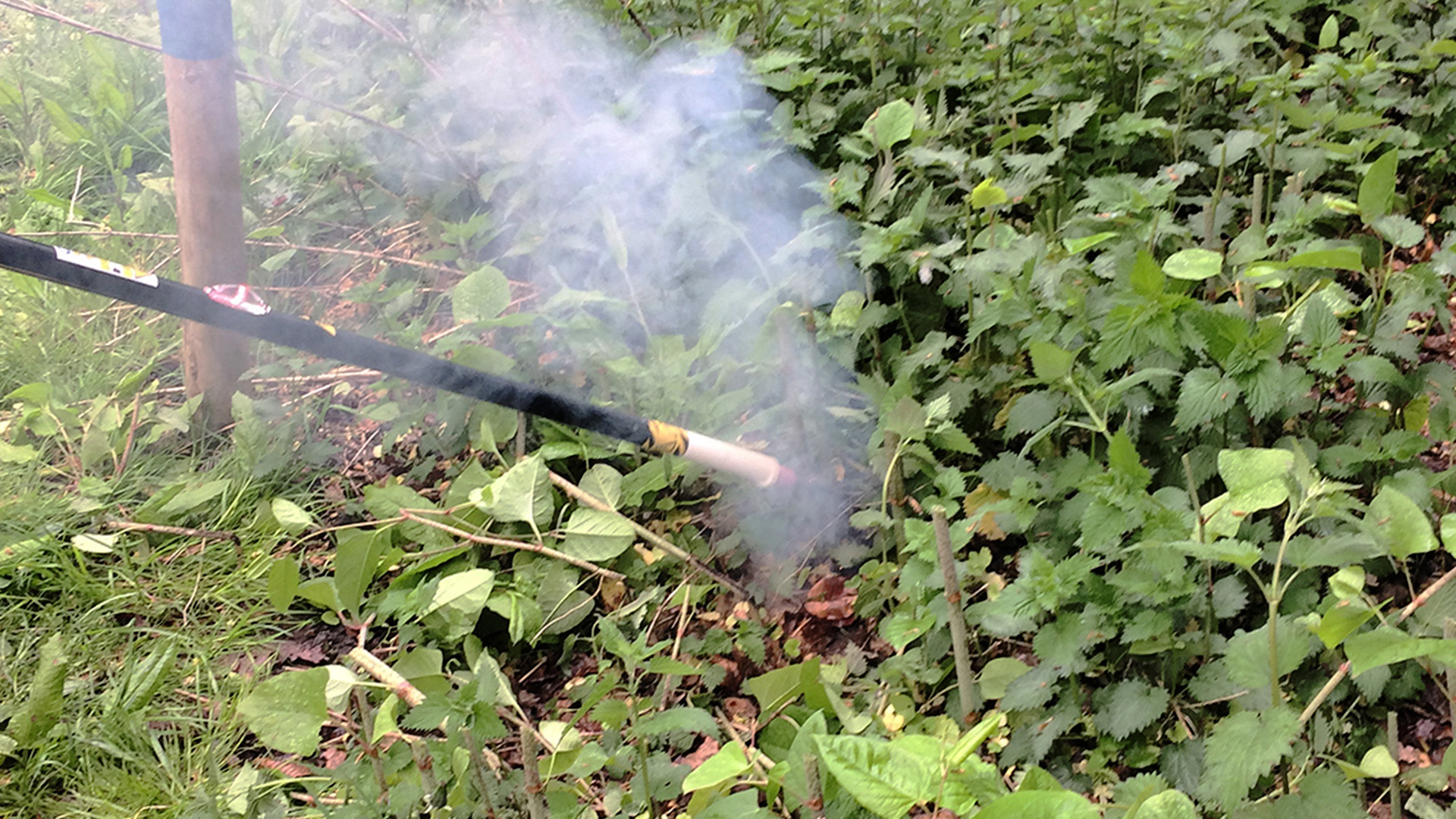 Bestrijding Invasieve Exoten