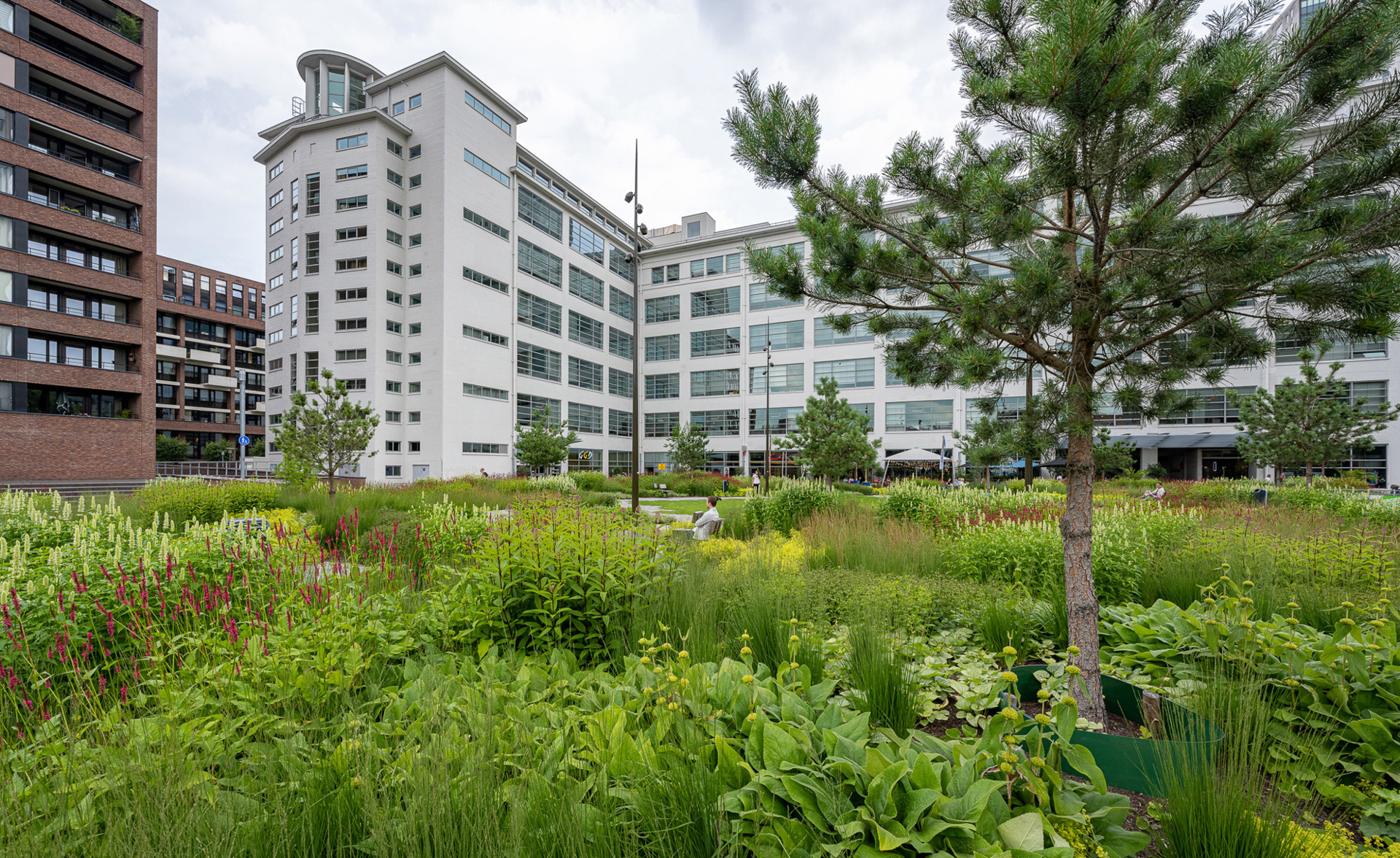 Clausplein Eindhoven (61)