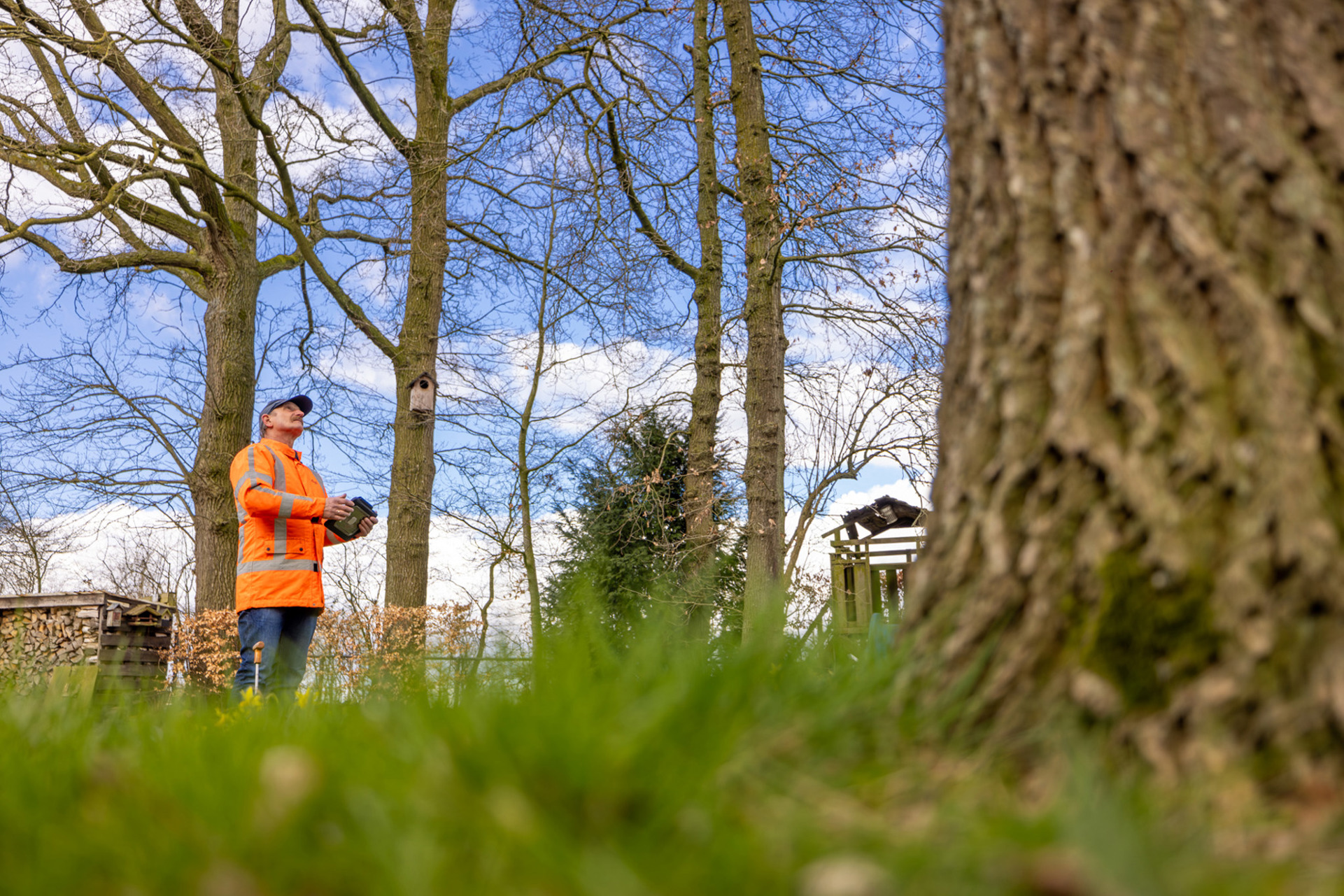 Visual Tree Assesment (6)