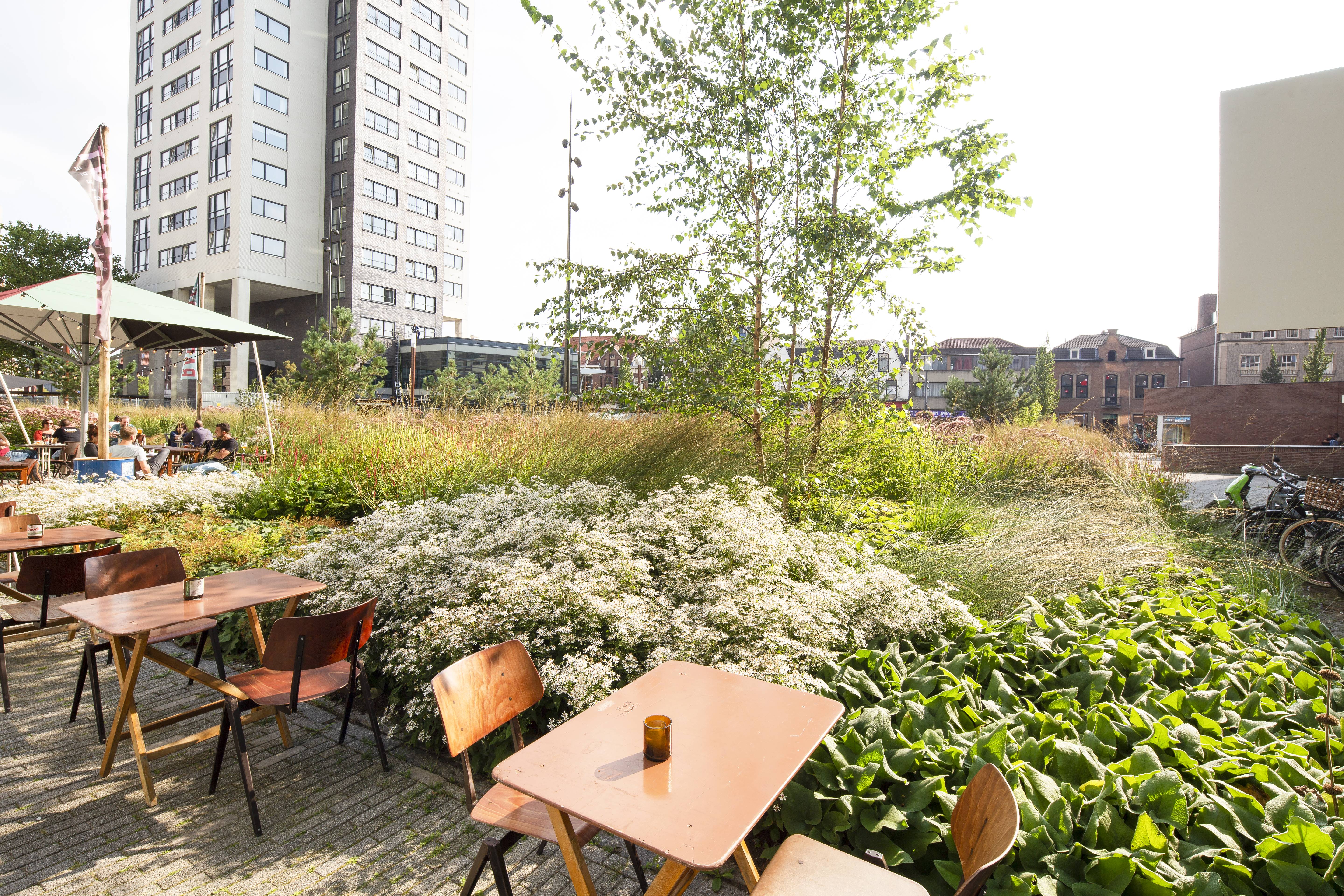 Project Clausplein - Van een vrijwel volledig versteend plein naar een groene, duurzame plek waar je wil verblijven