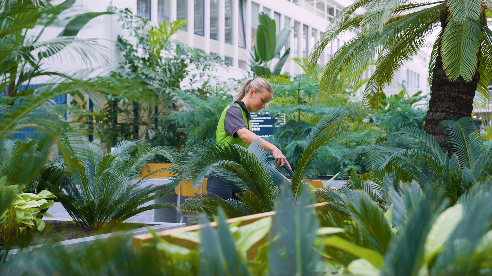 CV Interieurbeplanting (01) (1)