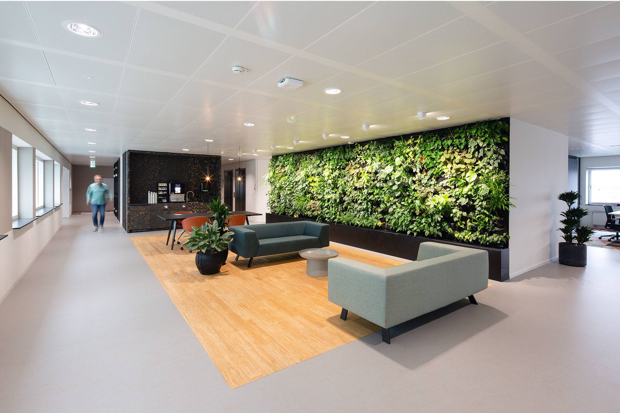 Royal FloraHolland, Aalsmeer - Groene plantenwand in het hoofdkantoor.