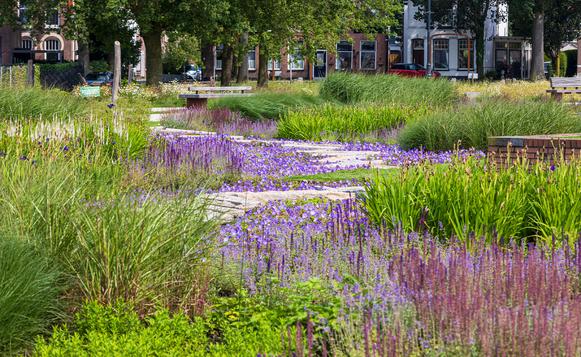 Kaasteelpark Coevorden Aug 2024 (22)