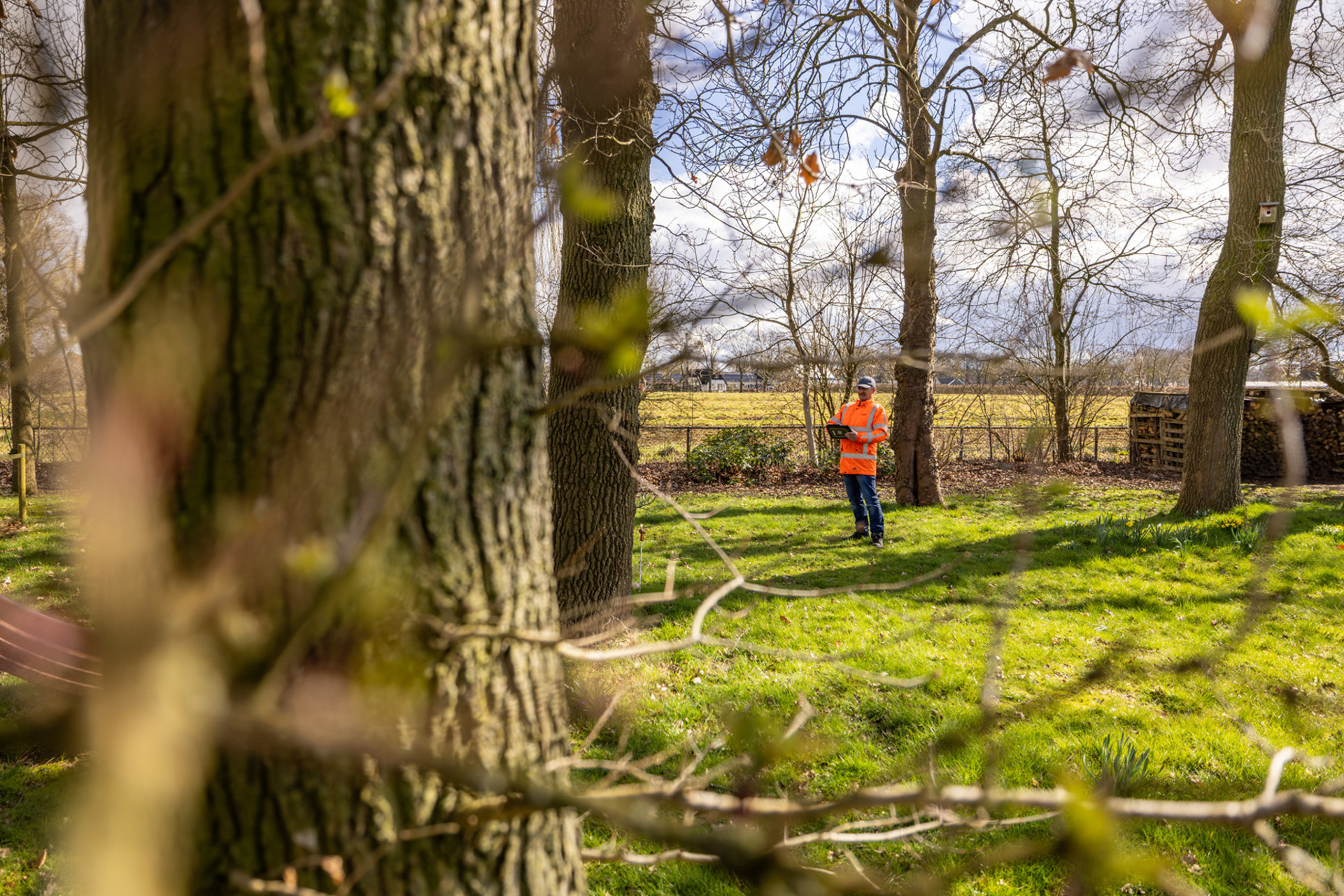 Visual Tree Assesment (16)