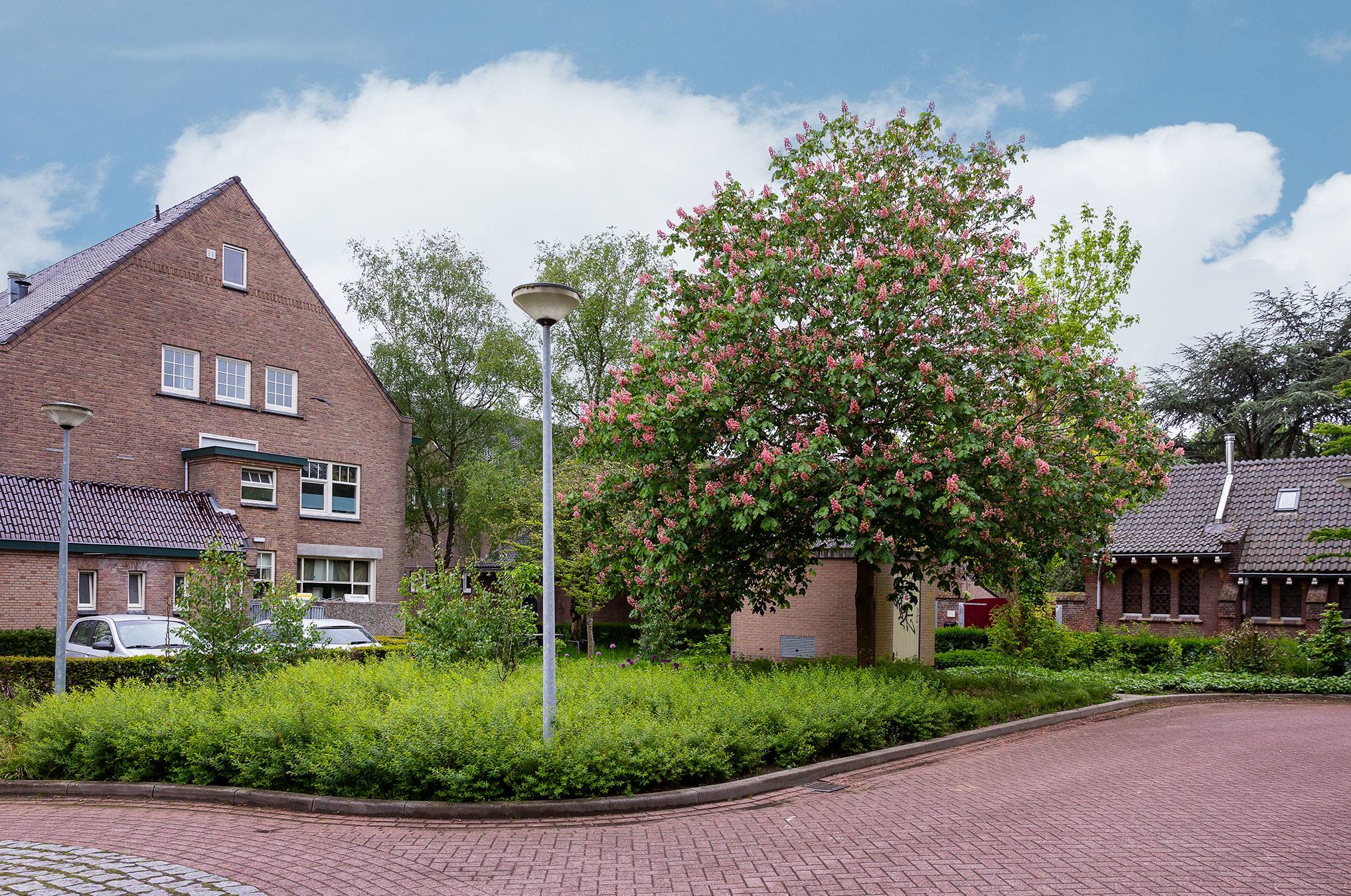 Laurentius wonen, Breda - Wij onderhouden het groen van deze woonomgevingen op basis van beeldkwaliteit