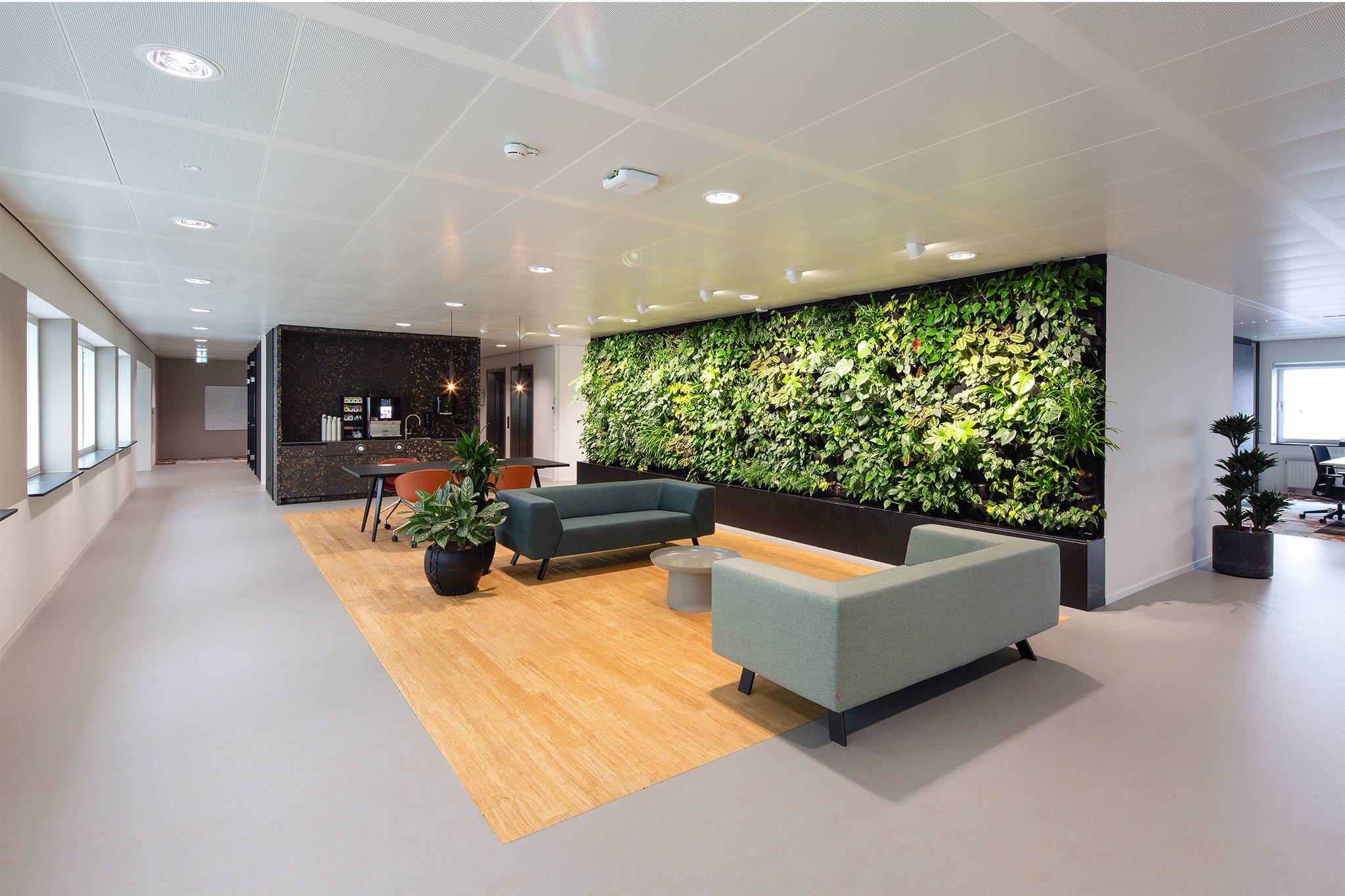 Deze verticale plantenwand bij Royal Flora Holland verbetert de akoestiek en zorgt voor gezonde lucht