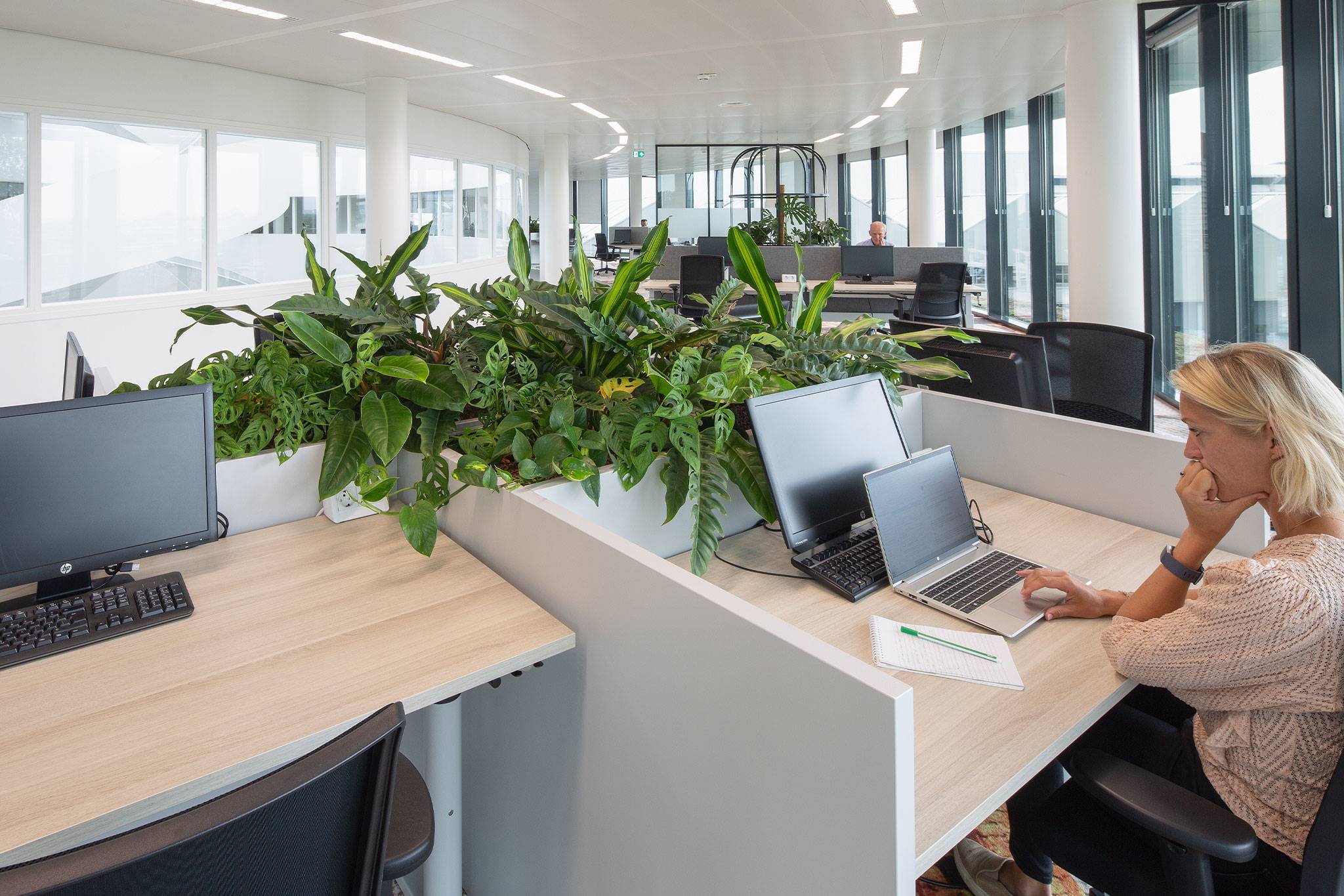 Royal Floraholland, Aalsmeer - Wij brachten groen aan in dit kantoor met als achterliggende gedachte om de productiviteit te verhogen