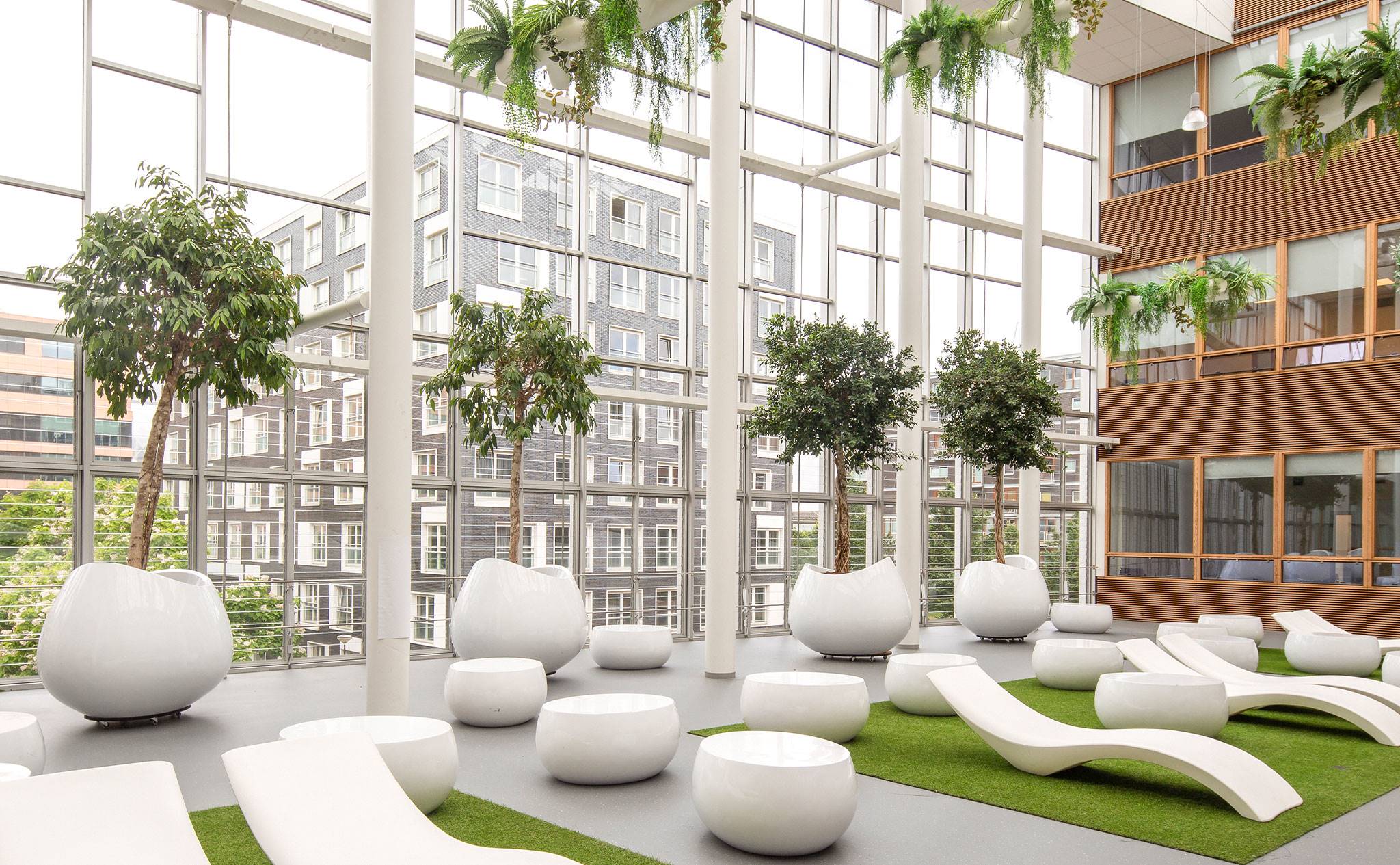 Hogeschool van Amsterdam, Fraijlemaborg - Door ons verzorgt groen voor deze hogeschool in Amsterdam.