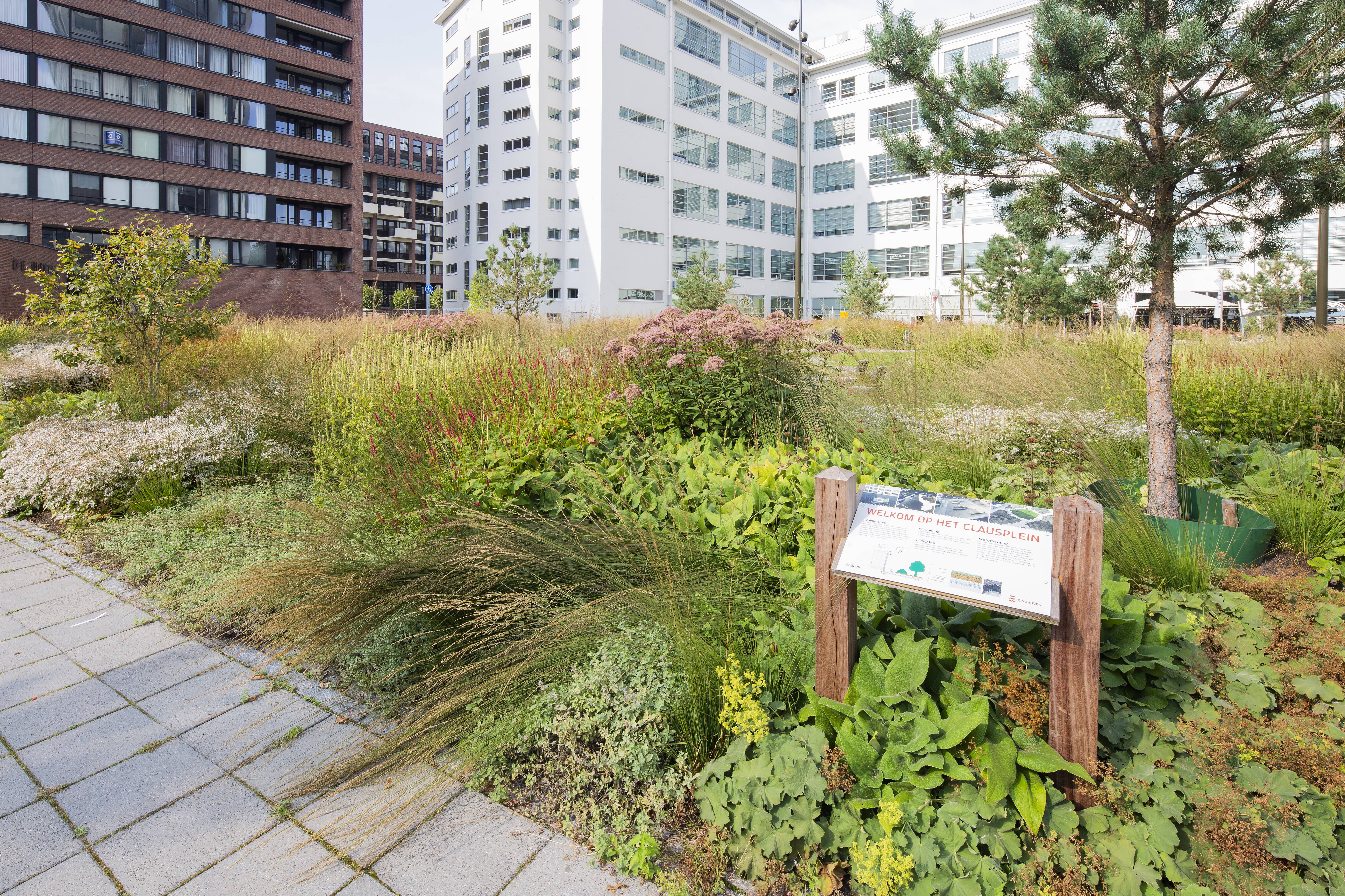 Project Clausplein - Een groen stadspark om tot rust te komen